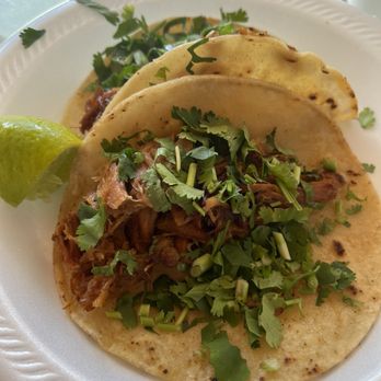 Taqueria Los 7 Hermanos - Corn tacos, carnitas, with fresh cilantro - Tacos Near Me - Ruskin, Florida