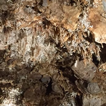 Black Chasm Cavern - Tours Near Me - Volcano, California Black Chasm Cavern - Tours Near Me - Volcano, California