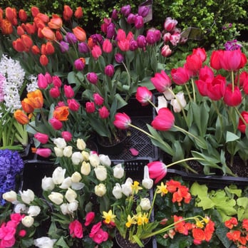 Foliage Garden - Nurseries & Gardening Near Me - New York, New York