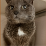 Photo of Applebrook Inn Veterinary Center & Pet Resort