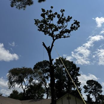 Fat Boys Tree Service - Tree Services Near Me Fat Boys Tree Service - Tree Services Near Me