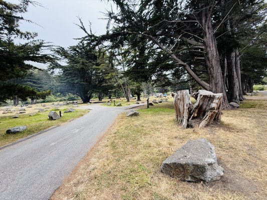 Plaskett Creek Campground by null