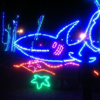 Dana Point IlluminOcean - Shark - Local Flavor Near Me - Dana Point, California