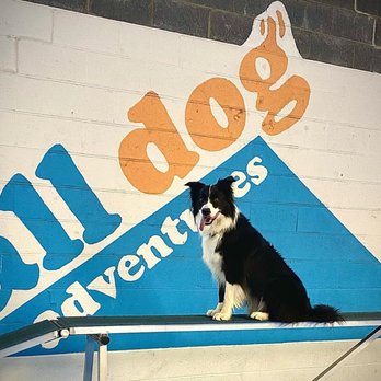 All Dog Adventures - Pet Training Near Me - Richmond, Virginia All Dog Adventures - Pet Training Near Me - Richmond, Virginia