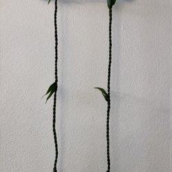 Leilani's Leis - Ti Lei, Open Ended 60" ($20)