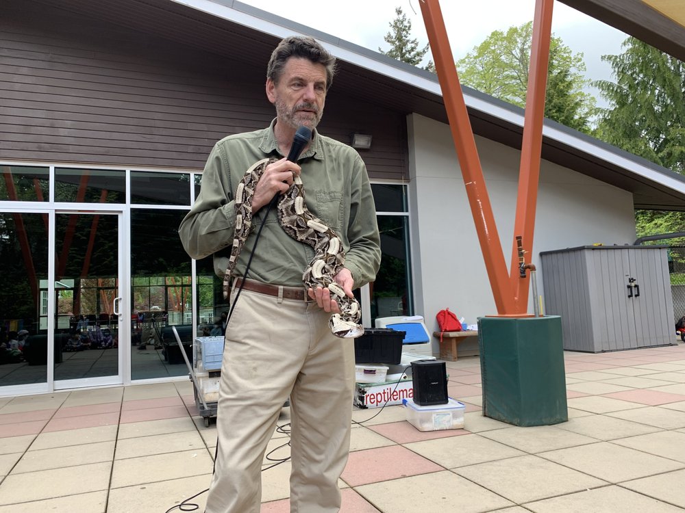 Pikake School - childcare center in Bellevue, WA