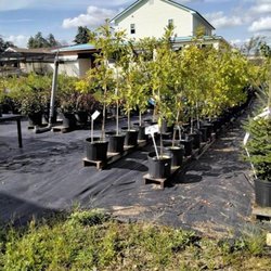 Nicole's Greenhouse & Florist