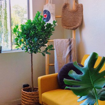 Goodies - Basket planter, teak ladder and woven bag - Kitchen Supplies Near Me - Los Angeles, California Goodies - Basket planter, teak ladder and woven bag - Kitchen Supplies Near Me - Los Angeles, California