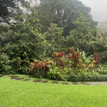Harold L. Lyon Arboretum - Botanical Gardens Near Me - Honolulu, Hawaii Harold L. Lyon Arboretum - Botanical Gardens Near Me - Honolulu, Hawaii