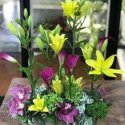 Floral Impressions