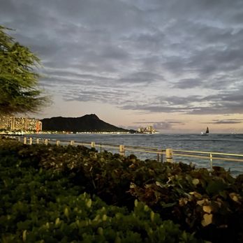 Orchids - View from patio - Breakfast & Brunch Near Me - Honolulu, Hawaii