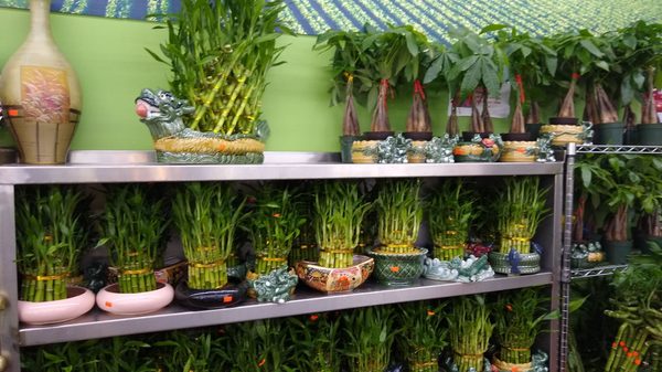 I Fresh Market by null