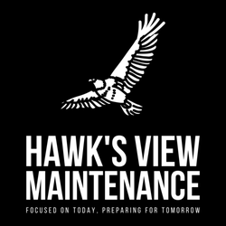 Hawk's View Maintenance