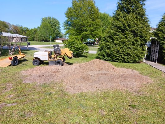 Tree Removal - Schedule your next tree removal today! Tree Removal - Schedule your next tree removal today!
