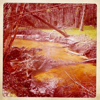 Hogtown Creek Greenway - Parks Near Me - Gainesville, Florida