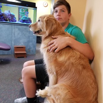 Growing Smiles - Chillin with Brooke~ - Pediatric Dentists Near Me - East Amherst, New York Growing Smiles - Chillin with Brooke~ - Pediatric Dentists Near Me - East Amherst, New York