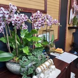 Zillion Jewels