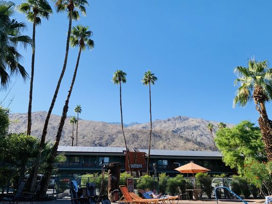 Caliente Tropics Resort - Palm Springs, CA by null