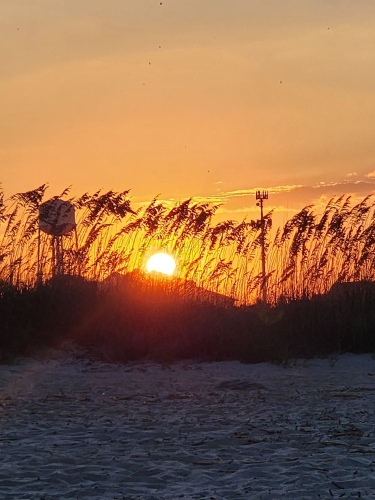 KT REPAIRS Updated April 2024 Request a Quote Ellabell,