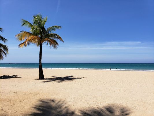 Courtyard by Marriott Isla Verde Beach Resort by null
