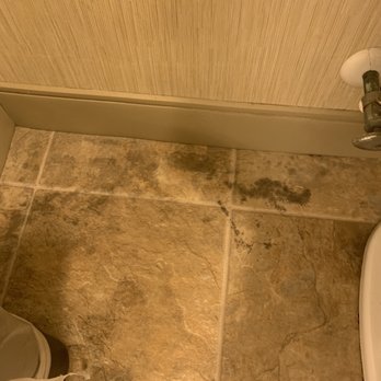 Residence Inn by Marriott Charleston Riverview - MORE MOLD - Hotels Near Me - Charleston, South Carolina Residence Inn by Marriott Charleston Riverview - MORE MOLD - Hotels Near Me - Charleston, South Carolina