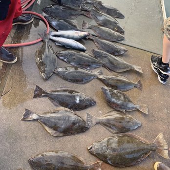 Hook'd Up Sportfishing - Look at all that fish, thanks Captain Steve - Fishing Near Me - Vallejo, California