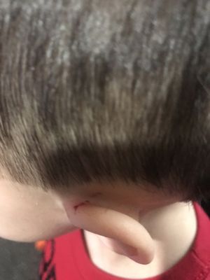 Supercuts 1303 Us Highway 127 S Frankfort Ky Beauty Salons Equipment Supplies Mapquest