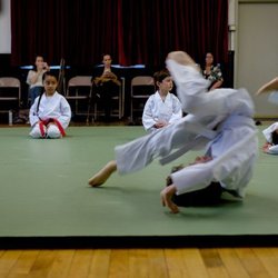 Aikido Kenkyukai Goleta