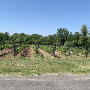 Spring Lake Winery - Wineries Near Me - Lockport, New York Spring Lake Winery - Wineries Near Me - Lockport, New York