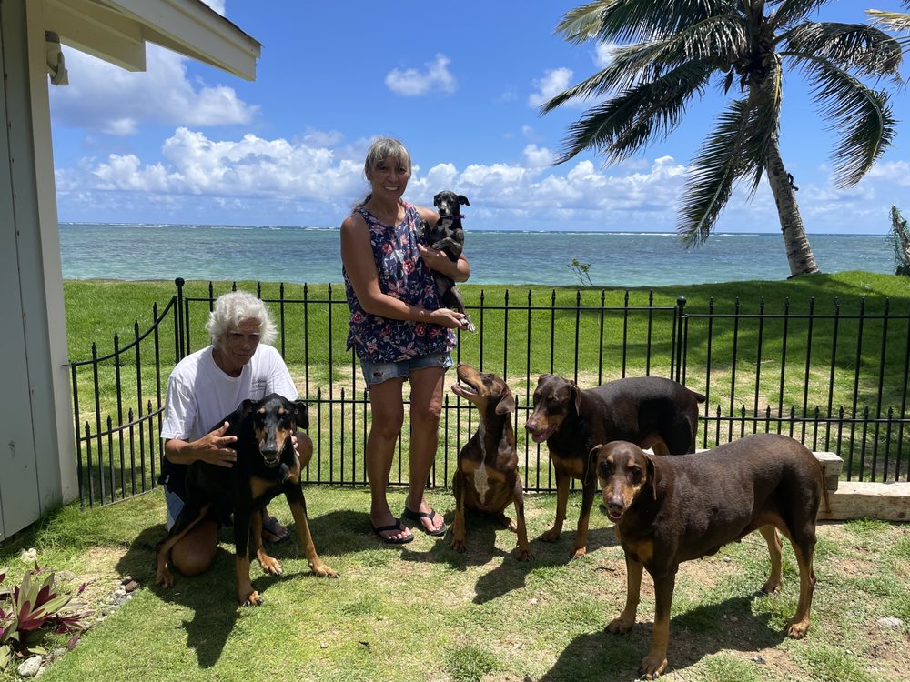 Paws On Path Adventures - pet boarding facility in East Honolulu, HI