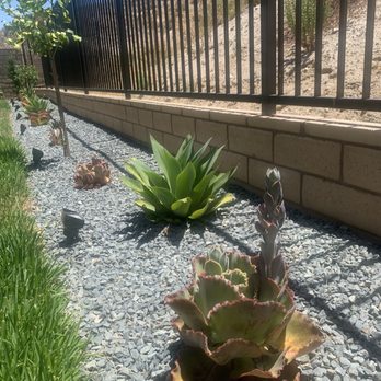 Elevated Seasons - Succulents and decorative stones - Landscaping Near Me Elevated Seasons - Succulents and decorative stones - Landscaping Near Me