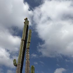 Jardín Botánico del Instituto de Biología - UNAM