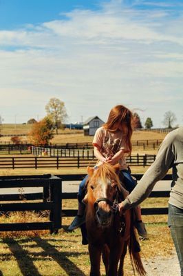 Kentucky Horse Park by null