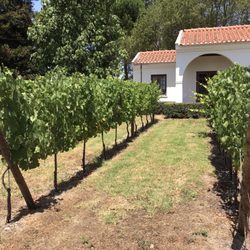 Quinta de Cabriz
