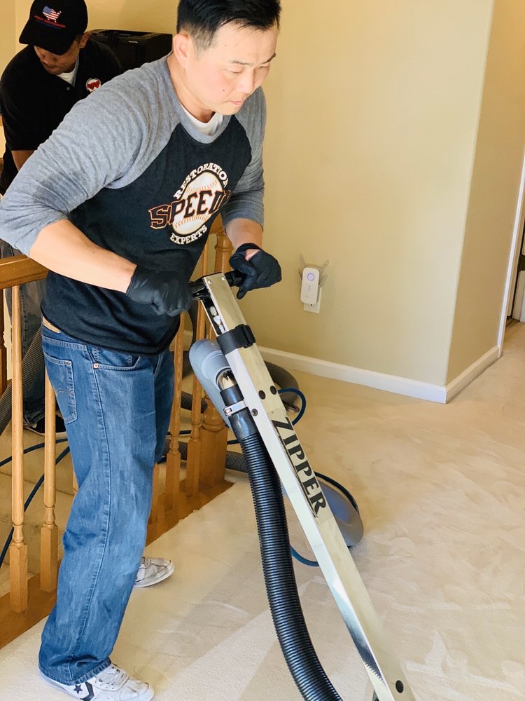 SPEEDY STEAMERS 136 Photos & 48 Reviews 1039 Serpentine Ln