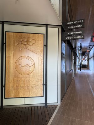 Knot Springs by null