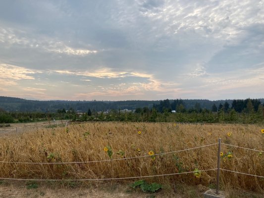 Finnriver Farm & Cidery by null