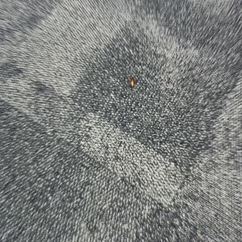CVS Pharmacy - The image shows a highly detailed, close-up view of a textured gray surface, which appears to be fabric or a similar material. In the center, there is a small, orange object that resembles an insect or bug. The surface has a pattern of tiny, densely packed fibers or particles radiating outward from the center, creating a circular, textured appearance. - Drugstores Near Me - Riverside, California