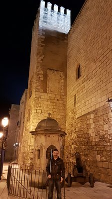 Royal Palace of La Almudaina by null