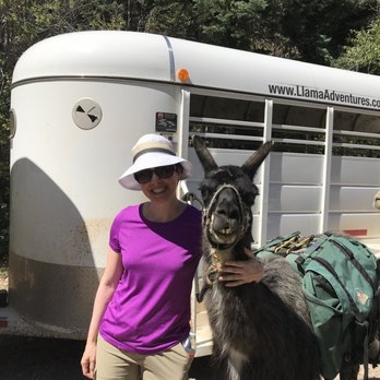 Wild Earth Llama Adventures - Exploring the trail with these marvelous animals was something I’ll treasure for a long time. - Hiking Near Me