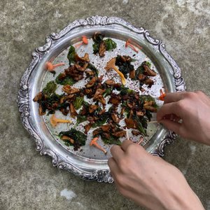 NO TASTE LIKE HOME - 66 Photos & 44 Reviews - Asheville, North Carolina