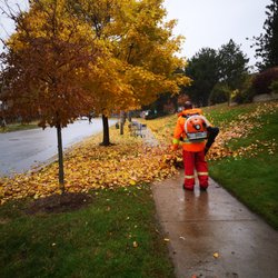Pristine Property Maintenance - Fall Clean-up!