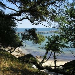 Chaussée Jacobsen - La plage des Dames  Bois de La Chaize
