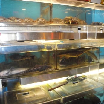 Jumbo Seafood Restaurant - Seafood Near Me - Boston, Massachusetts Jumbo Seafood Restaurant - Seafood Near Me - Boston, Massachusetts
