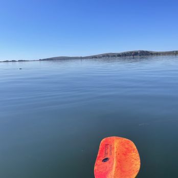 Bodega Bay Surf Shack - Bodega Bay - Rafting/Kayaking Near Me - Bodega Bay, California