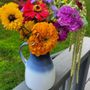 Petersen's Flower Farm