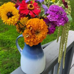 Petersen's Flower Farm