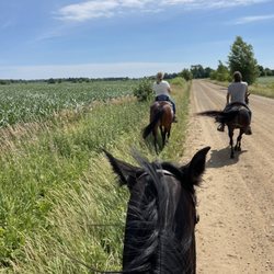 Public Horseback Riding - Riding the sweet Ace!