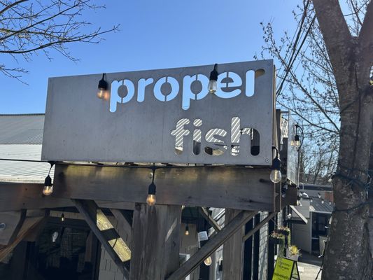 Proper Fish by null