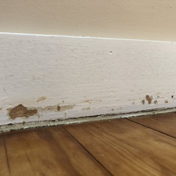 Compulsive Cleaning & Painting - Painters Near Me